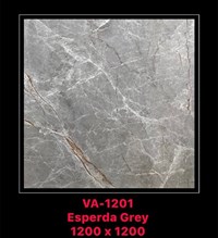 Gạch Ấn Độ 120x120 VA-1201