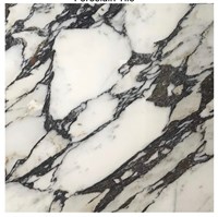 Gạch Ấn Độ 120x120 VA-1206