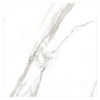 Gạch Ấn Độ 120x120 VA-1226