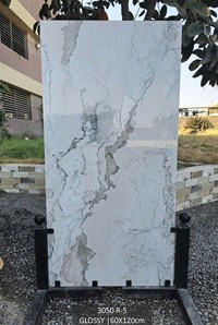 Gạch Ấn Độ 60x120 3050 R-5