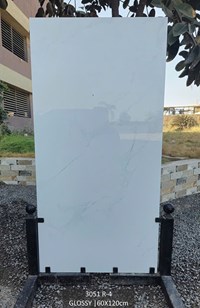 Gạch Ấn Độ 60x120 3051 R-4