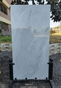 Gạch Ấn Độ 60x120 3055 R-4
