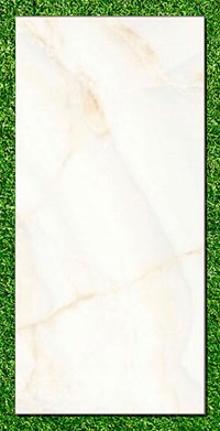 Gạch Ấn Độ 80x160 VA-816.10