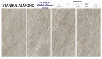 Gạch Ấn Độ 80x160 VA-816.61