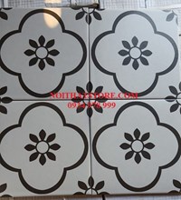 Gạch bông giả cổ 20x20 12