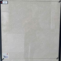 Gạch Đồng Tâm 2 da 8080PLATINUM001