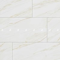 Gạch Đồng Tâm 60120LANGBIANG001