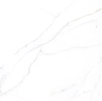 Gạch Đồng Tâm 6060 VAMCODONG003