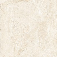Gạch Đồng Tâm 6060 VAMCODONG004