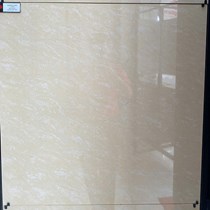 Gạch Đồng Tâm 8080DB100-NANO