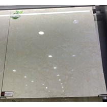 Gạch Đồng Tâm 8080FANSIPAN002-FP-H+