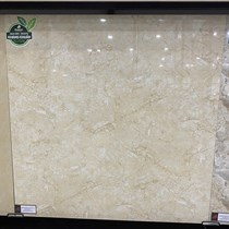 Gạch Đồng Tâm 8080FANSIPAN004-FP-H+