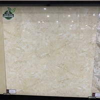 Gạch Đồng Tâm 8080FANSIPAN004-FP-H+