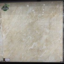 Gạch Đồng Tâm 8080FANSIPAN005-FP-H+