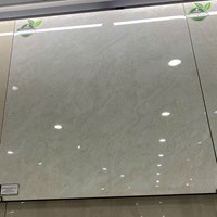 Gạch Đồng Tâm 8080FANSIPAN006-FP-H+