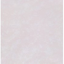 Gạch Đồng Tâm 2 da 8080PLATINUM002