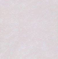 Gạch Đồng Tâm 2 da 8080PLATINUM002