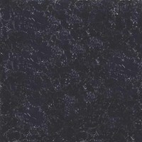 Gạch Đồng Tâm 2 da 8080PLATINUM006