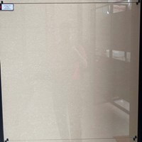 Gạch Đồng Tâm 80x80 8080DB006-NANO
