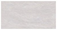 Gạch Đồng Tâm bóng 4080FAME002