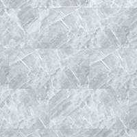 Gạch Đồng Tâm bóng 4080FAME009