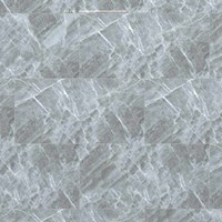 Gạch Đồng Tâm bóng 4080FAME010