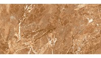 Gạch Đồng Tâm bóng 4080REGAL003