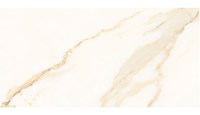 Gạch Đồng Tâm bóng 4080REGAL005
