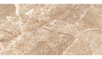Gạch Đồng Tâm bóng 4080REGAL006