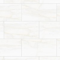 Gạch Đồng Tâm bóng 4080REGAL010