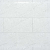 Gạch Đồng Tâm bóng 4080REGAL014