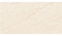 Gạch Đồng Tâm bóng 4080REGAL018
