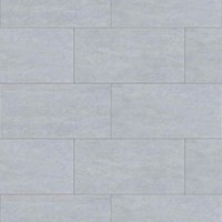 Gạch Đồng Tâm chống trượt 3060GECKO002