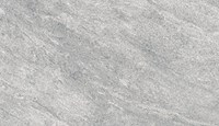 Gạch Đồng Tâm chống trượt 3060GECKO004
