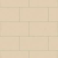 Gạch Đồng Tâm đồng chất 3060VICTORIA004