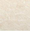 Gạch Đồng Tâm men bóng 3060DELUXE008