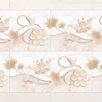 Gạch Đồng Tâm men bóng D3060AROXY003