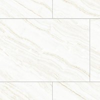 Gạch Đồng Tâm mờ 60120NILE004