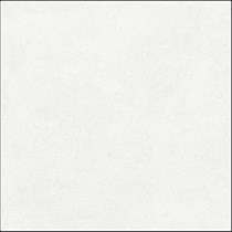 Gạch Đồng Tâm mờ 8080THIENTHACH002-H+