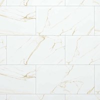 Gạch Đồng Tâm Porcelain 4080GECKO002