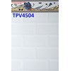 Gạch giá rẻ 30x45 ốp tường TPV4504