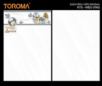Gạch giá rẻ 30x45 ốp tường TVY3115