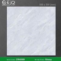 Gạch giá rẻ 50x50 Phương Nam CRH5509