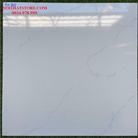 Gạch giá rẻ 60x60 PH603