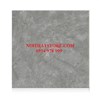 Gạch Hoàn Mỹ 100x100 vi tinh 55006