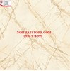 Gạch Hoàn Mỹ 100x100 vi tinh 55016
