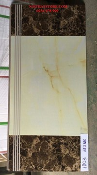 Gạch lát cầu thang 47x100 1803
