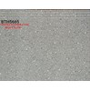 Gạch lát cầu thang 50x60 BTH5665