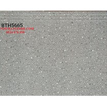 Gạch lát cầu thang 50x60 BTH5665