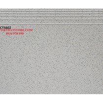 Gạch lát cầu thang 50x60 CT5602